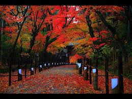 path with red leaves