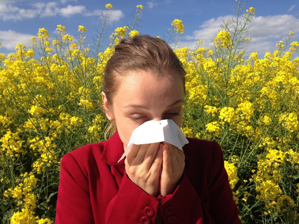 remedies which may assist with hayfever