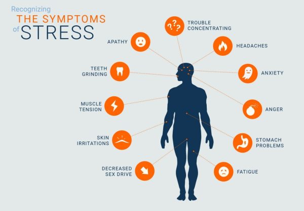 stress and its effects